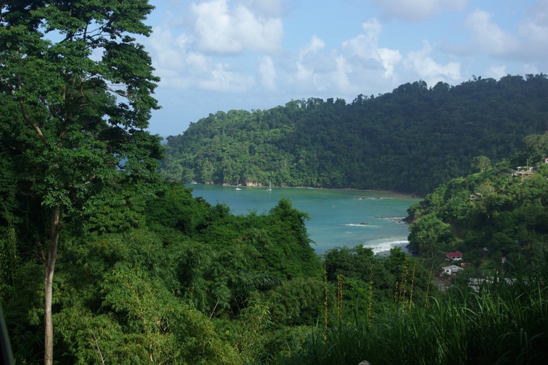 Tobago tobago